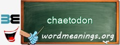 WordMeaning blackboard for chaetodon